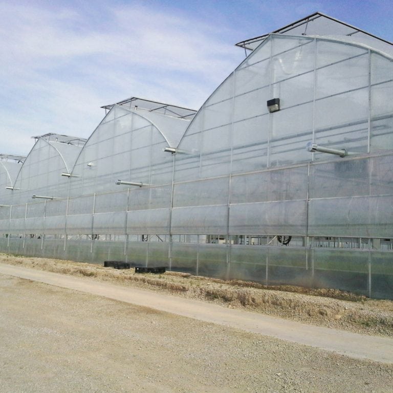 Discover renewable energies for commercial greenhouse production | Harnois