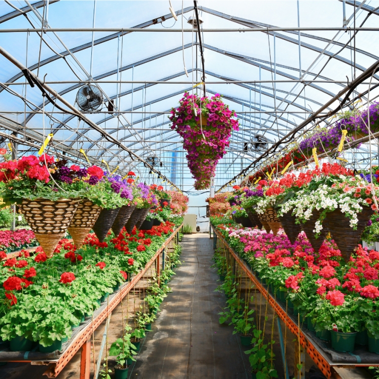 Project Gallery: Commercial Greenhouses & MegaDome | Harnois